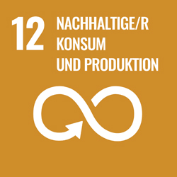 12Nachhaltige/r Konsum und Produktion